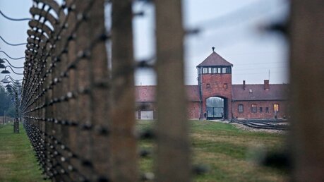 Zaun in Auschwitz-Birkenau  / © Markus Nowak (KNA)