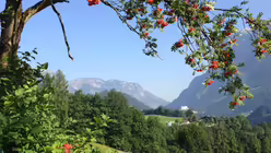 &Uuml;ber dem Tal der Salzach / &copy; Stefan Quilitz