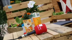 KJG-Aktion zum Urban Gardening  / &copy; Andrea Imig (DR)