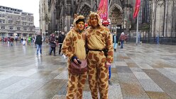 Die beiden Giraffen aus Hannover und Neulm sind auf dem Weg zum Zug. "Die Warnung ist viel heftiger als es jetzt ist." / © Katharina Geiger (DR)