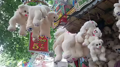 Libori-Kirmes in Paderborn / &copy; Christoph Paul Hartmann (DR)
