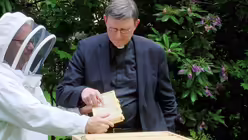 Woelkis erster Bienenhonig / &copy; domradio (DR)