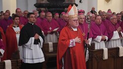 Kardinal Marx zieht beim Eröffnungsgottesdienst in Fulda in den Dom ein / © Arne Dedert (dpa)