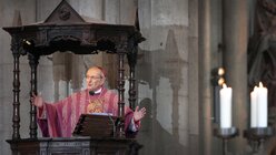 Predigt Kardinal Meisner (Verabschiedung 2014) / © dpa (dpa)