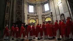 Ad-Limina-Besuch der deutschen Bischöfe im Vatikan: Auf dem Weg in die Grotte / © Romano Siciliani (KNA)