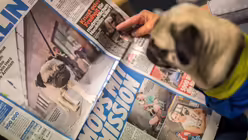 Alle lieben Arnold / © Sophia Kembowski (dpa)