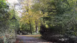 Allerheiligen auf dem Friedhof / &copy; Beatrice Tomasetti (DR)