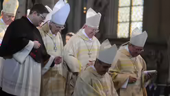 Amtseinführung von Rainer Maria Kardinal Woelki / © Beatrice Tomasetti (DR)