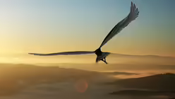 Auf Adlers Schwingen / &copy; Juanjo Tugores (shutterstock)