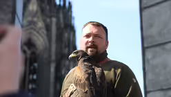 Berufsfalkner Marco und und sein W&uuml;stenbussard Akascha (DR)