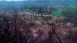 Aber dieser Lebensraum ist durch Megaprojekte wie den Bau von Staudämmen, den Abbau von Bodenschätzen und Abholzung stark gefährdet / © Jürgen Escher (Adveniat)