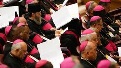 Bischöfe während des Anti-Missbrauchsgipfels am 23. Februar 2019 im Vatikan. (KNA)