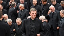Kardinal Woelki beim Gruppenfoto in Fulda / © Harald Oppitz (KNA)