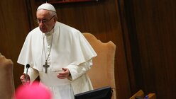 Blick durch Bischöfe auf Papst Franziskus während des Anti-Missbrauchsgipfels am 23. Februar 2019 im Vatikan. (KNA)
