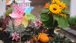 Bunte Windmühlen schmücken oft Kindergräber. / © Beatrice Tomasetti (DR)