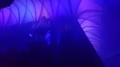 SilentMOD im K&ouml;lner Dom (DR)