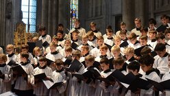 Chor im Kapitelsamt am dreiundzwanzigsten Sonntag im Jahreskreis / © Tomasetti (DR)