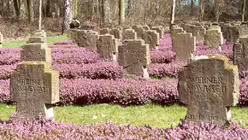 Erster Platz: 15 verschiedene Grabformen sind im Waldfriedhof Lauheide in M&uuml;nster zu sehen.  / &copy; Copyright: Stadt M&uuml;nster, Amt f&uuml;r Gr&uuml;nfl&auml;chen und Umweltschutz 