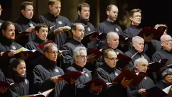 Das Erwachsenenensemble zeichnet sich inzwischen durch eine gemischte Altersstruktur aus. / &copy; Beatrice Tomasetti (DR)