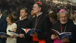 Das Publikum ist aufgefordert mitzusingen / &copy; Beatrice Tomasetti  (DR)