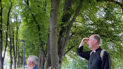 Den Dom im Blick (DR)