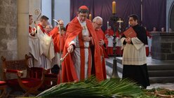 Der Kölner Erzbischof besprengt die Körbe voller Palmzweige mit Weihwasser / © Beatrice Tomasetti (DR)