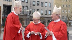 Die drei Weihbischöfe Ansgar Puff, Rolf Steinhäuser und Dr. Dominikus Schwaderlapp / © Beatrice Tomasetti (DR)