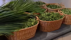 Die großen Körbe mit den Palmzweigen stehen vor dem Altar in der Minoritenkirche / © Beatrice Tomasetti (DR)