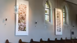 Die Pflanzenmotive der Fotografien von Markus Bollen stehen in Korrespondenz zu den Objekten aus Naturmaterialien von Beatrix Rey. / &copy; Tomasetti (DR)