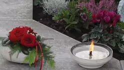 Die Rose als Symbol für die Liebe ist sowohl ein weltliches als auch ein christliches Symbol. / © Beatrice Tomasetti (DR)