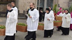 Die Seminaristen tragen die geweihten Palmzweige zum Dom / © Beatrice Tomasetti (DR)