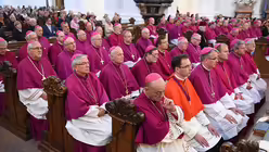 Bischöfe im Dom zu Fulda / © Arne Dedert (dpa)