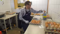 Daniel sortiert Eier / &copy; Theresa Meier (DR)