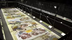 Deckenfresko / © Fotodienst der vatikanischen Museen