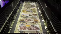 Deckenfresko / &copy; Fotodienst der vatikanischen Museen