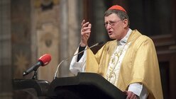 Kardinal Woelki bei der Predigt / © Christopher Jelen (Erzbistum Köln)