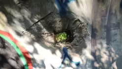 Überall sind noch Granateinschläge zu entdecken / © Friederike Seeger