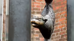 Die "Bremer Stadtmusikanten" haben es auch nach Riga geschafft / &copy; Friederike Seeger