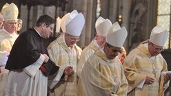Ein Domzeremoniar muss seine Augen überall haben und stets zur Stelle sein - hier stützt er Kardinal Meisner. / © Beatrice Tomasetti (DR)