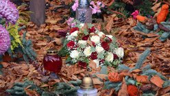 Ein Sinnbild für blühendes und sterbendes Leben: Rosen und Herbstlaub.    / © Beatrice Tomasetti (DR)