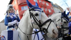 Eine Karnevalistin auf einem Pferd am Kölner Rosenmontagszug / © Rolf Vennenbernd (dpa)