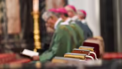 Bischöfe im Dom zu Fulda / © Harald Oppitz (KNA)