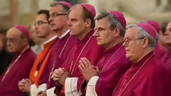 Bischöfe im Dom zu Fulda / © Harald Oppitz (KNA)