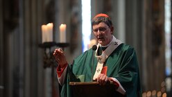 Erzbischof Rainer Maria Kardinal Woelki predigt  / © Beatrice Tomasetti (DR)