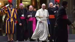 Franziskus bei der ordentlichen Synode zu Ehe und Familie / © Ettore Ferrari (dpa)