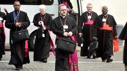 Bischöfe und Kardinäle bei der Ankunft / © Cristian Gennari (KNA)