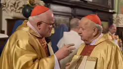 Kardinal Reinhard Marx und Kardinal Stanislaw Dziwisz / © Harald Oppitz (KNA)