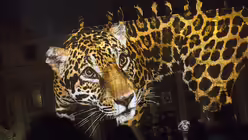 "Fiat Lux" - Lichtshow am Petersdom / &copy; Giuseppe Lami (dpa)