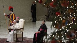 Franziskus spricht mit Angestellten im Vatikan / © Gregorio Borgia (dpa)