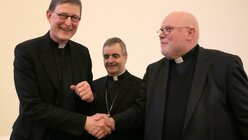 Kardinal Woelki, Nuntius Eterovic und Kardinal Marx / © Berg (dpa)